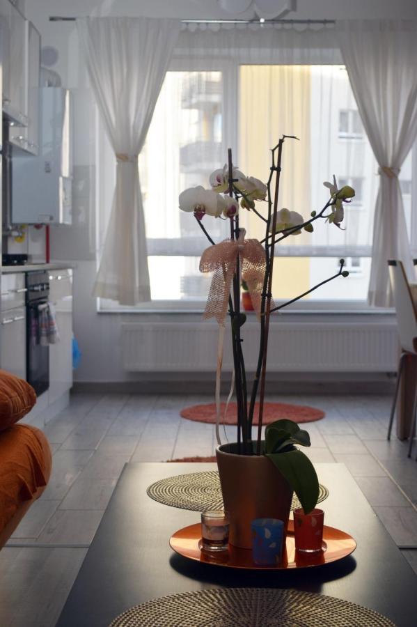 Aki Studio Apartment Brasov Ngoại thất bức ảnh